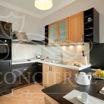Happy-Prague-Apartments-living-room-kitchen