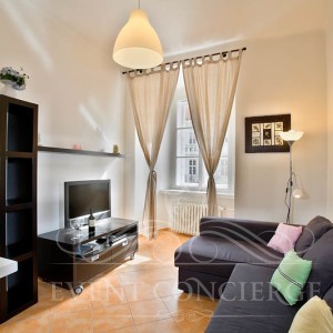 Happy-Prague-Apartments-sofa-at-livingroom